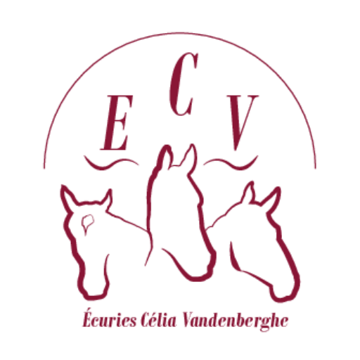ECV Equitation – Le bois Moret 